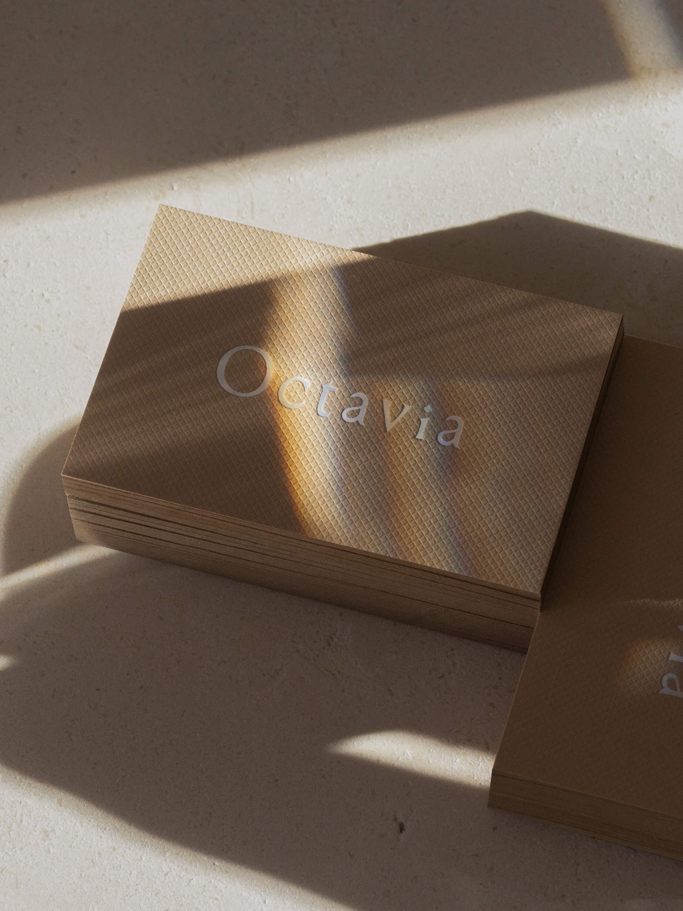 Thumbnail for Octavia